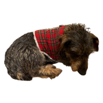 Handgemaakt wintercollectie harnas (M)